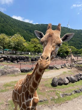 伊豆アニマルキングダムに投稿された画像（2022/6/5）