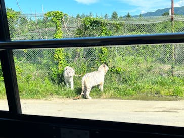 群馬サファリパークに投稿された画像（2022/6/5）