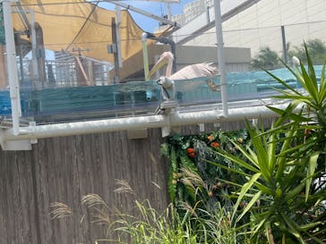 サンシャイン水族館に投稿された画像（2022/5/30）