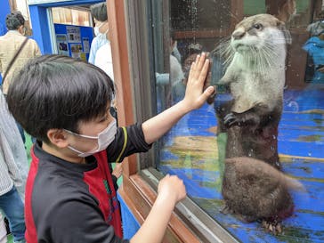 ゼロ距離水族館 伊勢シーパラダイスに投稿された画像（2022/5/1）