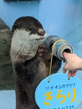 ゼロ距離水族館 伊勢シーパラダイスに投稿された画像（2022/5/1）