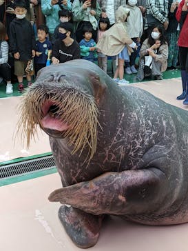 ゼロ距離水族館 伊勢シーパラダイスに投稿された画像（2022/5/1）