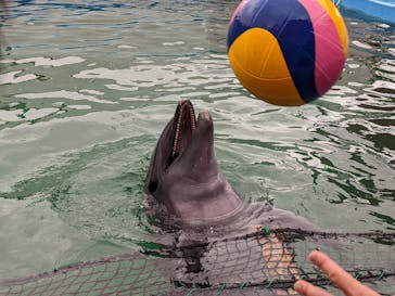 ゼロ距離水族館 伊勢シーパラダイスに投稿された画像（2022/5/1）