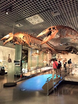 国立科学博物館に投稿された画像（2022/6/5）