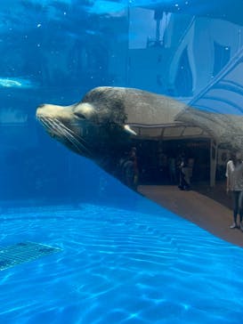 サンシャイン水族館に投稿された画像（2022/6/5）