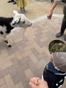 天王寺動物園に投稿された画像（2022/6/5）