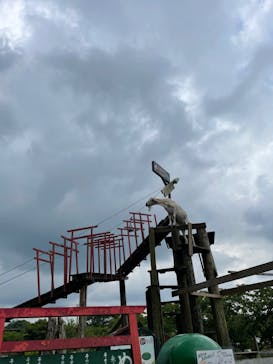 まかいの牧場に投稿された画像（2022/6/5）