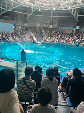 マクセル アクアパーク品川に投稿された画像（2022/6/5）