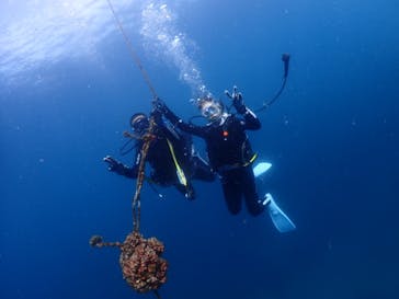 クリオネダイバーズに投稿された画像（2022/6/5）