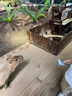 カワスイ 川崎⽔族館に投稿された画像（2022/6/5）