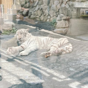 東武動物公園に投稿された画像（2022/6/5）