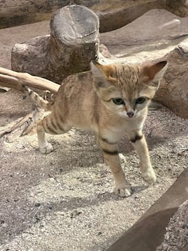 ネオパークオキナワに投稿された画像（2022/6/5）