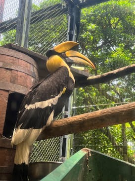 ネオパークオキナワに投稿された画像（2022/6/5）