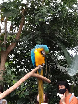 神戸どうぶつ王国に投稿された画像（2022/6/5）