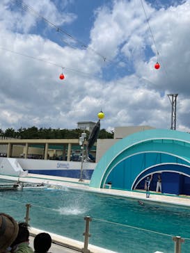 鴨川シーワールドに投稿された画像（2022/6/5）