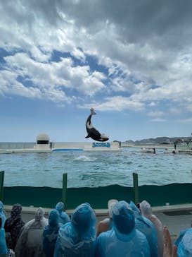 鴨川シーワールドに投稿された画像（2022/6/5）