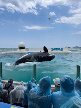 鴨川シーワールドに投稿された画像（2022/6/5）