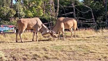 天王寺動物園に投稿された画像（2022/6/5）