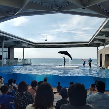 上越市立水族博物館 うみがたりに投稿された画像（2022/6/5）