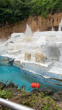 天王寺動物園に投稿された画像（2022/6/5）