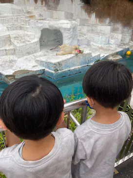 天王寺動物園に投稿された画像（2022/6/5）