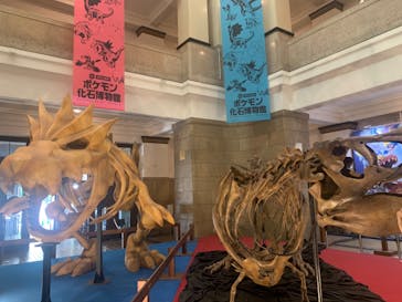 国立科学博物館　特別企画展「ポケモン化石博物館」に投稿された画像（2022/6/5）