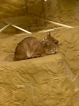 ネオパークオキナワに投稿された画像（2022/6/5）