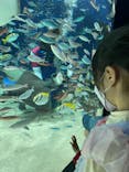 サンシャイン水族館に投稿された画像（2022/6/5）
