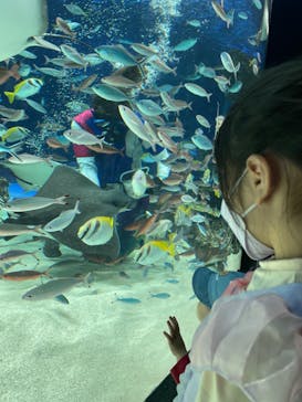 サンシャイン水族館に投稿された画像（2022/6/5）