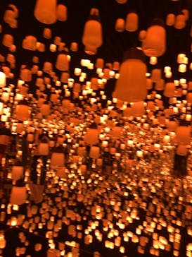 森ビル デジタルアート ミュージアム：エプソン チームラボボーダレスに投稿された画像（2022/6/5）