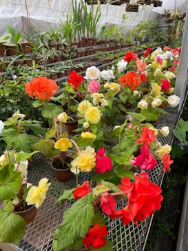 熱川バナナワニ園に投稿された画像（2022/6/5）