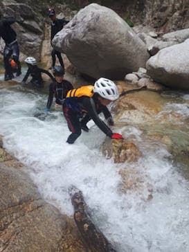 自然派企画に投稿された画像（2022/6/5）