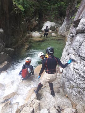 自然派企画に投稿された画像（2022/6/5）