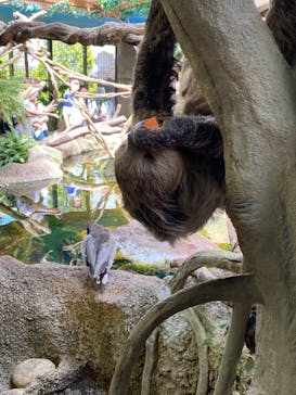 那須どうぶつ王国に投稿された画像（2022/6/5）