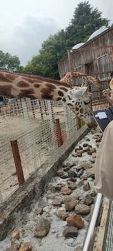 東武動物公園に投稿された画像（2022/6/5）