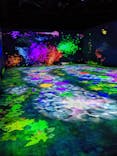 森ビル デジタルアート ミュージアム：エプソン チームラボボーダレスに投稿された画像（2022/6/5）