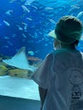サンシャイン水族館に投稿された画像（2022/6/5）