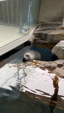 しながわ水族館に投稿された画像（2022/6/5）
