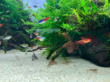 すみだ水族館に投稿された画像（2022/6/5）