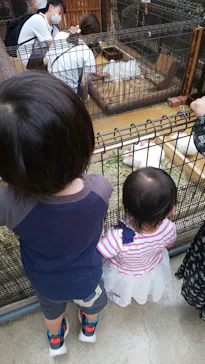 神戸どうぶつ王国に投稿された画像（2022/6/5）