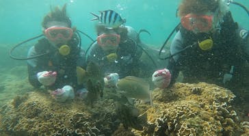 武藤潜水に投稿された画像（2022/6/5）