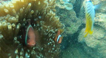 武藤潜水に投稿された画像（2022/6/5）