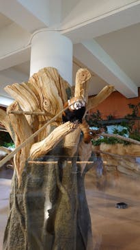 ネオパークオキナワに投稿された画像（2022/6/5）