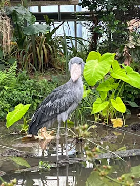 神戸どうぶつ王国に投稿された画像（2022/6/5）