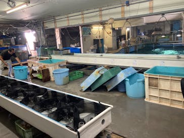 南知多ビーチランド＆南知多おもちゃ王国に投稿された画像（2022/6/5）