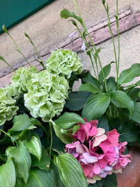 ひらかたパークに投稿された画像（2022/6/5）