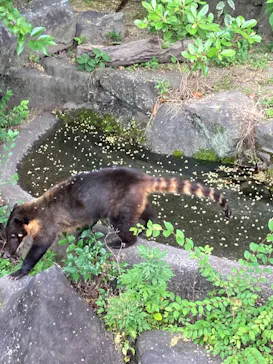 ひらかたパークに投稿された画像（2022/6/5）