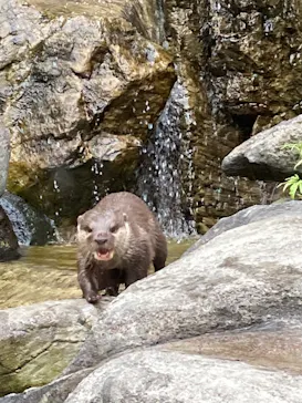 ひらかたパークに投稿された画像（2022/6/5）