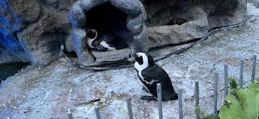 サンシャイン水族館に投稿された画像（2022/6/5）