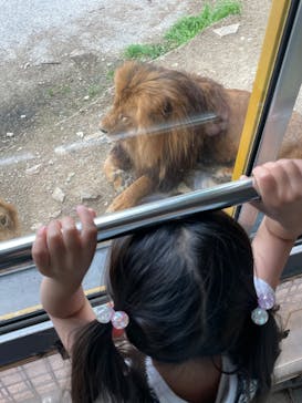 群馬サファリパークに投稿された画像（2022/6/5）